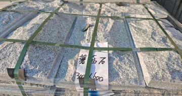 湛江芝麻白蘑菇石，自然面